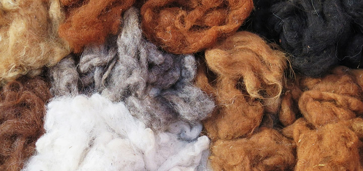 Sustainable Fiber - Alpaca wool – Noble