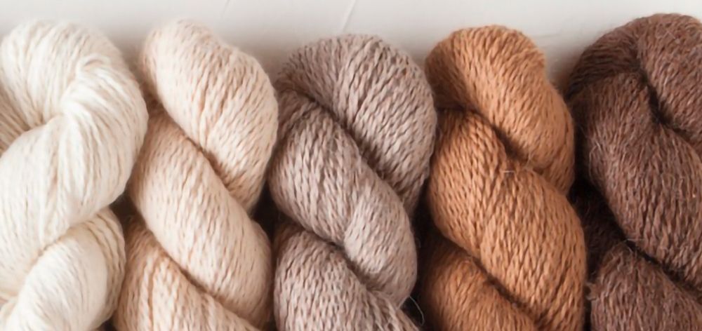 alpaca wool vs cashmere: Is alpaca the best option? Silkeborg