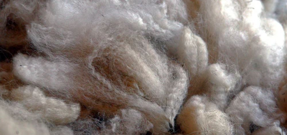 alpaca superior fiber